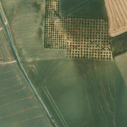 Satellite imagery of survey_point, DZ