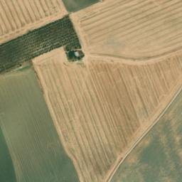 Satellite imagery of survey_point, DZ