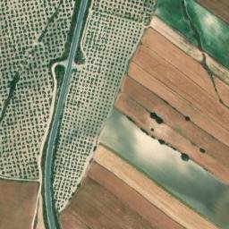 Satellite imagery of survey_point, DZ