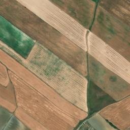 Satellite imagery of survey_point, DZ