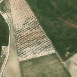 Satellite imagery of survey_point, DZ