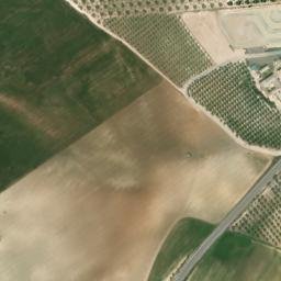 Satellite imagery of survey_point, DZ