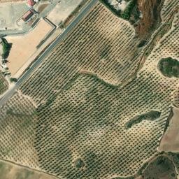 Satellite imagery of survey_point, DZ