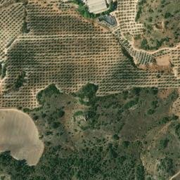 Satellite imagery of survey_point, DZ