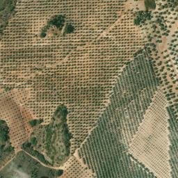 Satellite imagery of survey_point, DZ