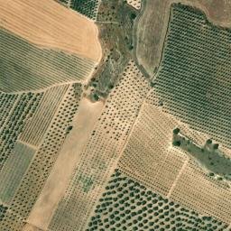 Satellite imagery of survey_point, DZ