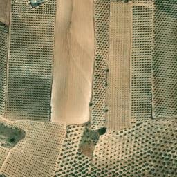 Satellite imagery of survey_point, DZ
