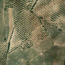 Satellite imagery of survey_point, DZ