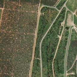 Satellite imagery of survey_point, DZ