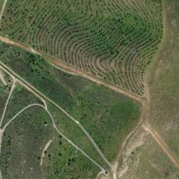 Satellite imagery of survey_point, DZ