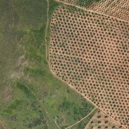 Satellite imagery of survey_point, DZ