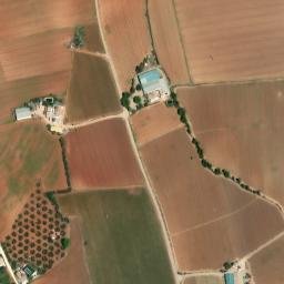Satellite imagery of survey_point, DZ