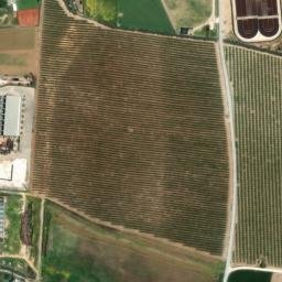 Satellite imagery of survey_point, DZ