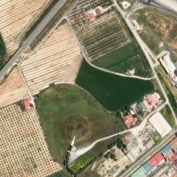 Satellite imagery of survey_point, DZ