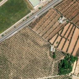 Satellite imagery of survey_point, DZ