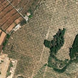 Satellite imagery of survey_point, DZ
