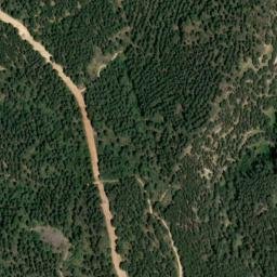 Satellite imagery of survey_point, DZ