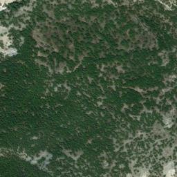 Satellite imagery of survey_point, DZ