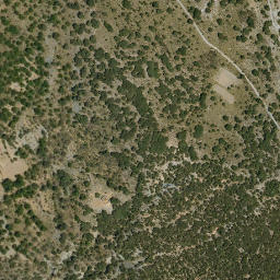 Satellite imagery of survey_point, DZ