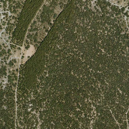 Satellite imagery of survey_point, DZ