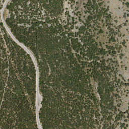 Satellite imagery of survey_point, DZ