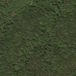 Satellite imagery of Pine Spur, US