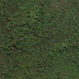 Satellite imagery of Pine Spur, US