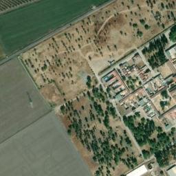 Satellite imagery of survey_point, DZ