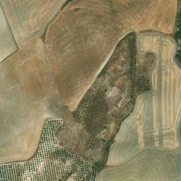 Satellite imagery of survey_point, DZ