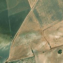 Satellite imagery of survey_point, DZ