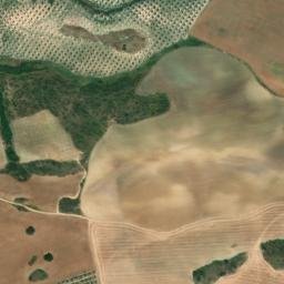 Satellite imagery of survey_point, DZ