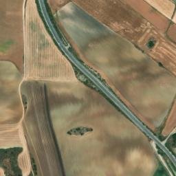 Satellite imagery of survey_point, DZ