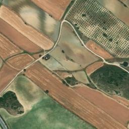 Satellite imagery of survey_point, DZ