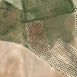 Satellite imagery of survey_point, DZ