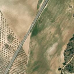 Satellite imagery of survey_point, DZ