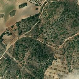 Satellite imagery of survey_point, DZ