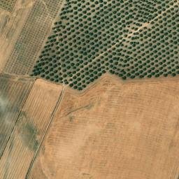 Satellite imagery of survey_point, DZ