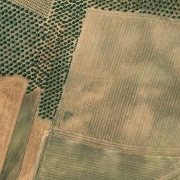 Satellite imagery of survey_point, DZ