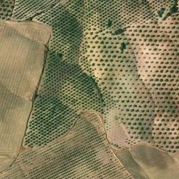 Satellite imagery of survey_point, DZ