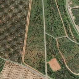 Satellite imagery of survey_point, DZ