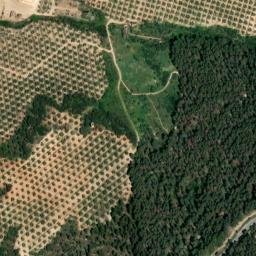 Satellite imagery of survey_point, DZ