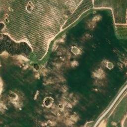 Satellite imagery of survey_point, DZ