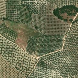 Satellite imagery of survey_point, ES