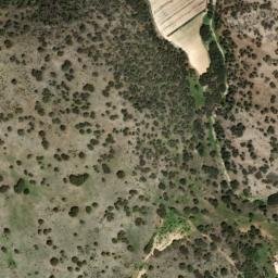 Satellite imagery of survey_point, DZ