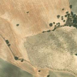 Satellite imagery of survey_point, DZ