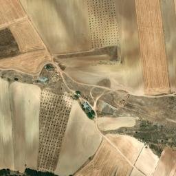 Satellite imagery of survey_point, DZ