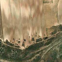 Satellite imagery of survey_point, DZ