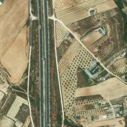 Satellite imagery of survey_point, DZ