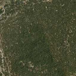 Satellite imagery of survey_point, DZ