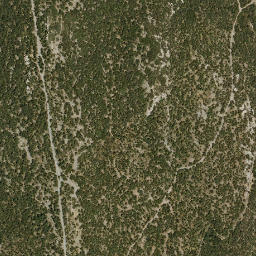 Satellite imagery of survey_point, DZ